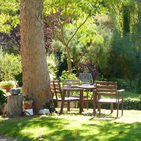 Domaine De Joreau Gennes-Val-de-Loire Zewnętrze zdjęcie