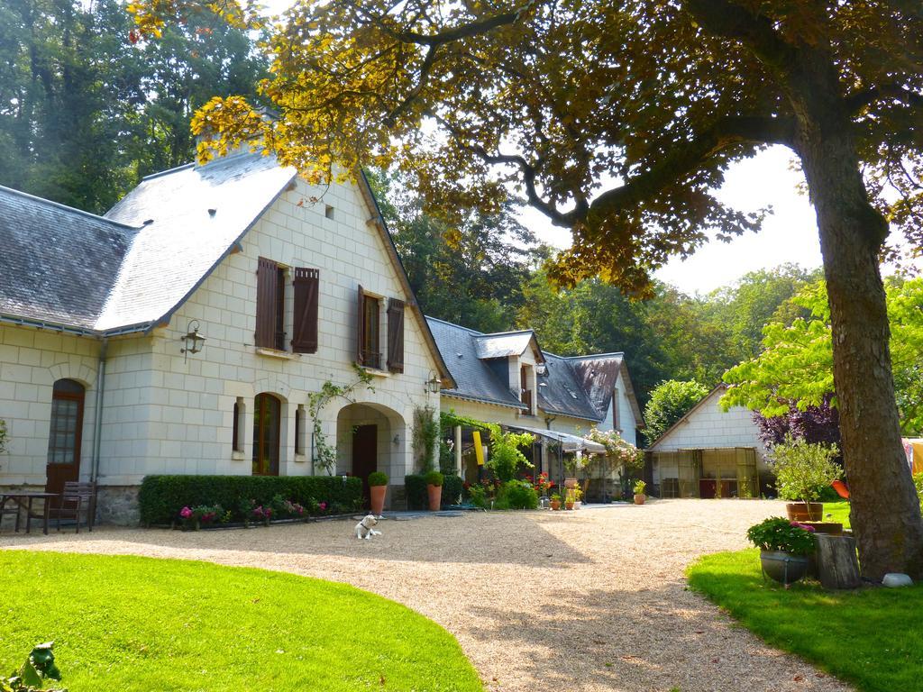 Domaine De Joreau Gennes-Val-de-Loire Zewnętrze zdjęcie