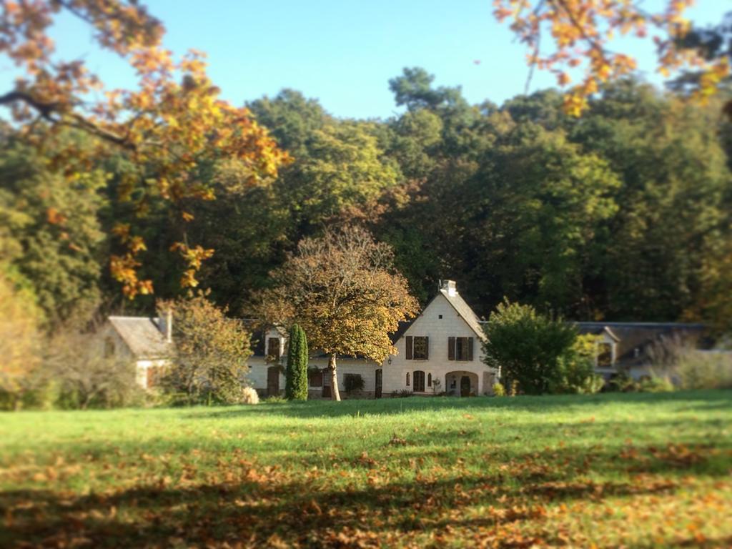 Domaine De Joreau Gennes-Val-de-Loire Zewnętrze zdjęcie